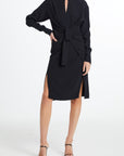Altuzarra dress