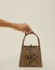 Lanvin bag