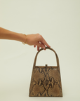 Lanvin bag
